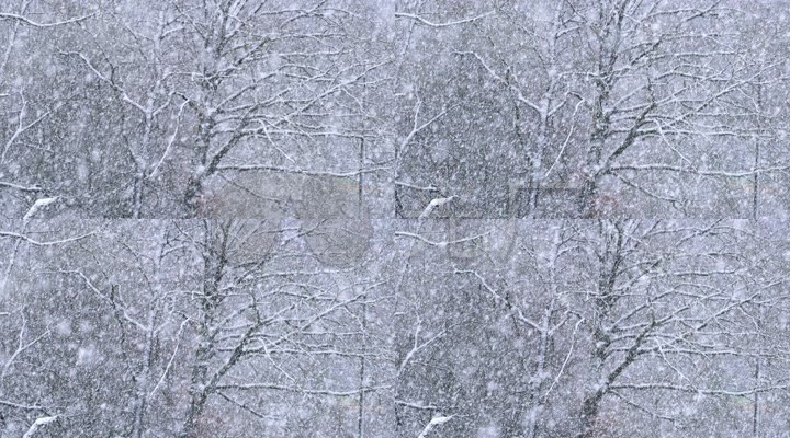 描写黄山冬天的诗句_描写冬天的诗句有_描写冬天的雪的诗句