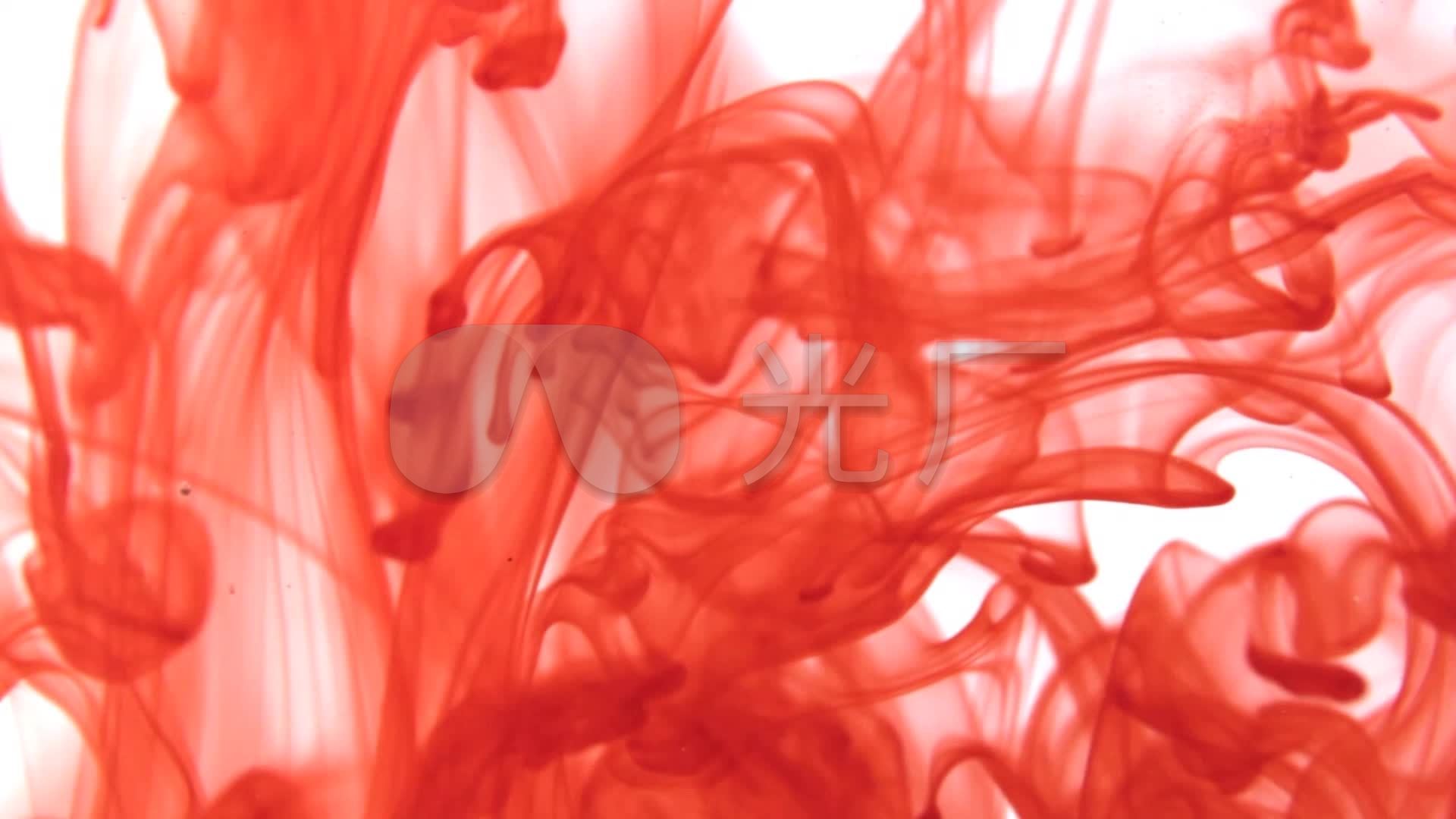 唯美浪漫血液滴落晕染血色_1920x1080_高清视频素材下载(编号:1270116