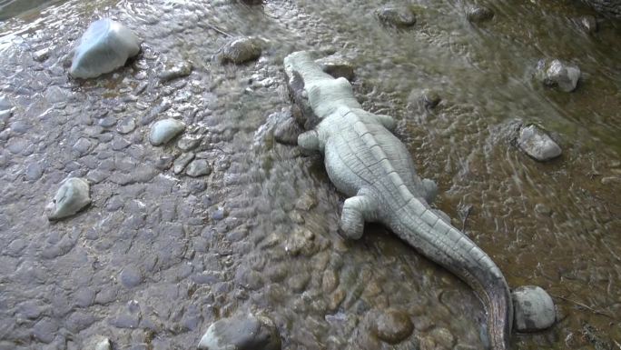 水中鳄鱼雕塑