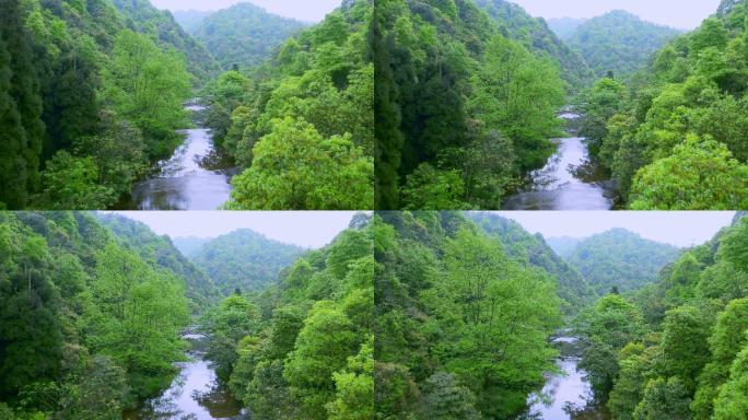 山川河流（独家版权）