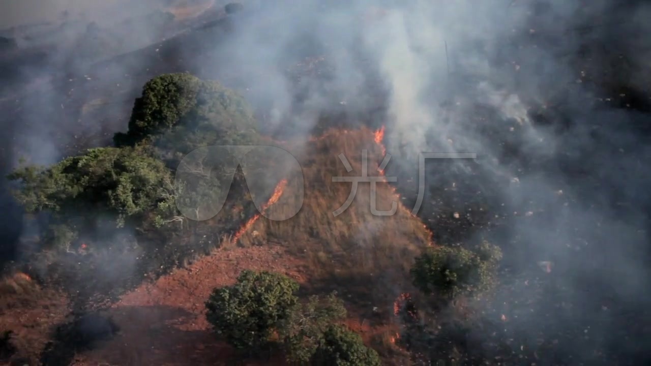 火烧山火_1280X720_高清视频素材下载(编号