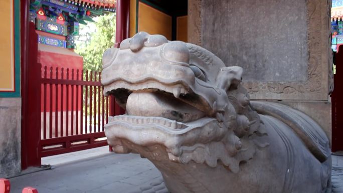 北京孔庙碑亭赑屃06