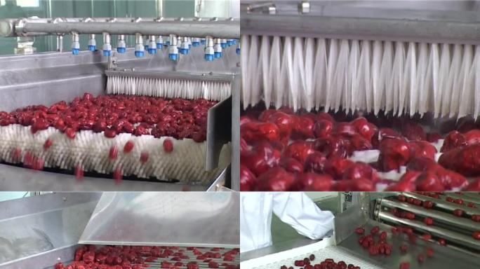 红枣清洗生产线