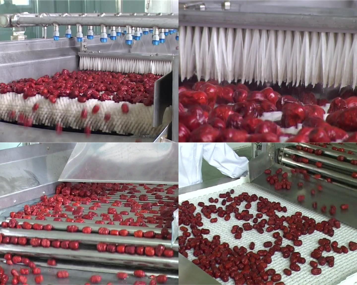 红枣清洗生产线