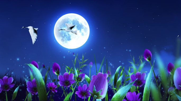 月夜仙鹤唯美紫色花