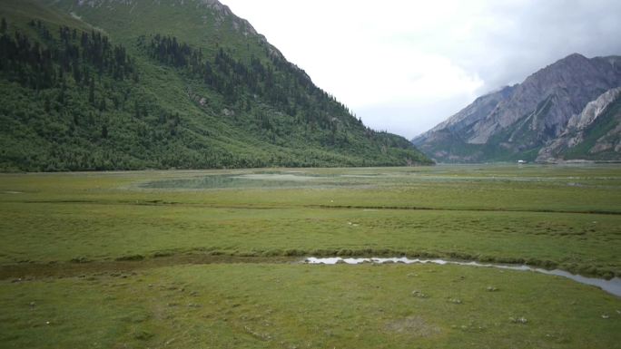 1080P西藏然乌湖湿地