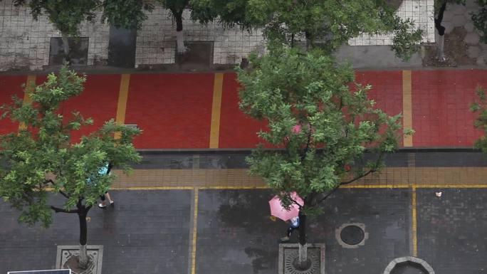 下雨天空中拍学生过马路进校园