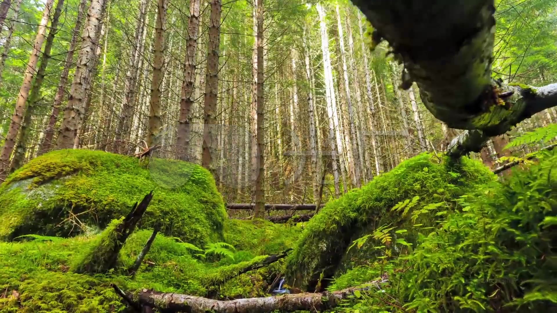 实拍大自然震撼美景