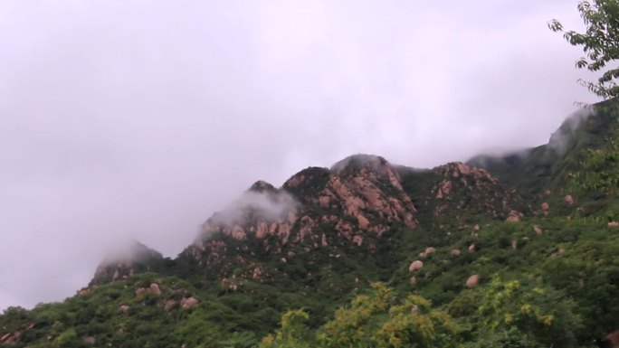 雨中凤凰岭20170623-2