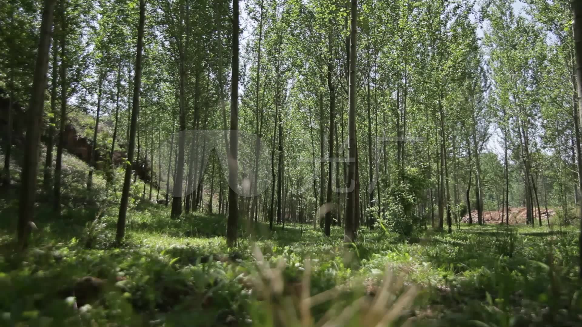 偷拍情侣照7片（偷拍有风险，拍摄请小心）_最数码科技论坛_太平洋电脑网最数码论坛