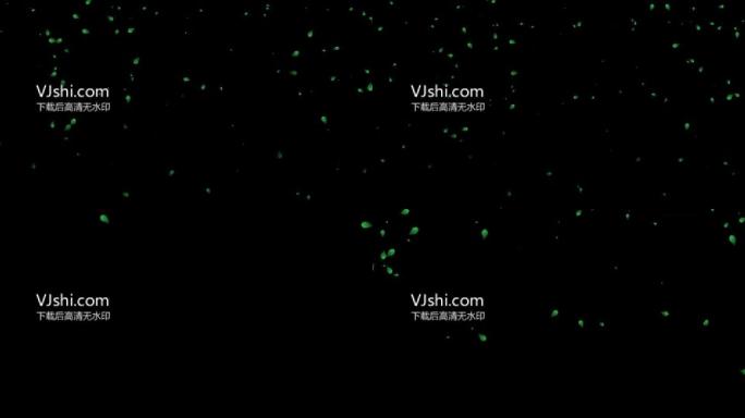 树叶飘落绿叶(带通道)