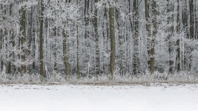 下雪树林小屋合成剪辑动态视频