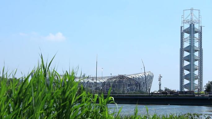 夏日微风奥林匹克公园鸟巢水边蒲草