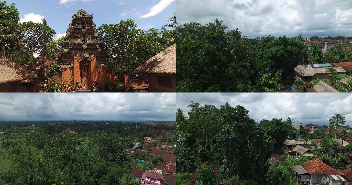 巴厘岛城市风光绿树森林空境