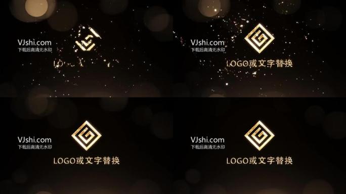 大气奢华的金色logo定版