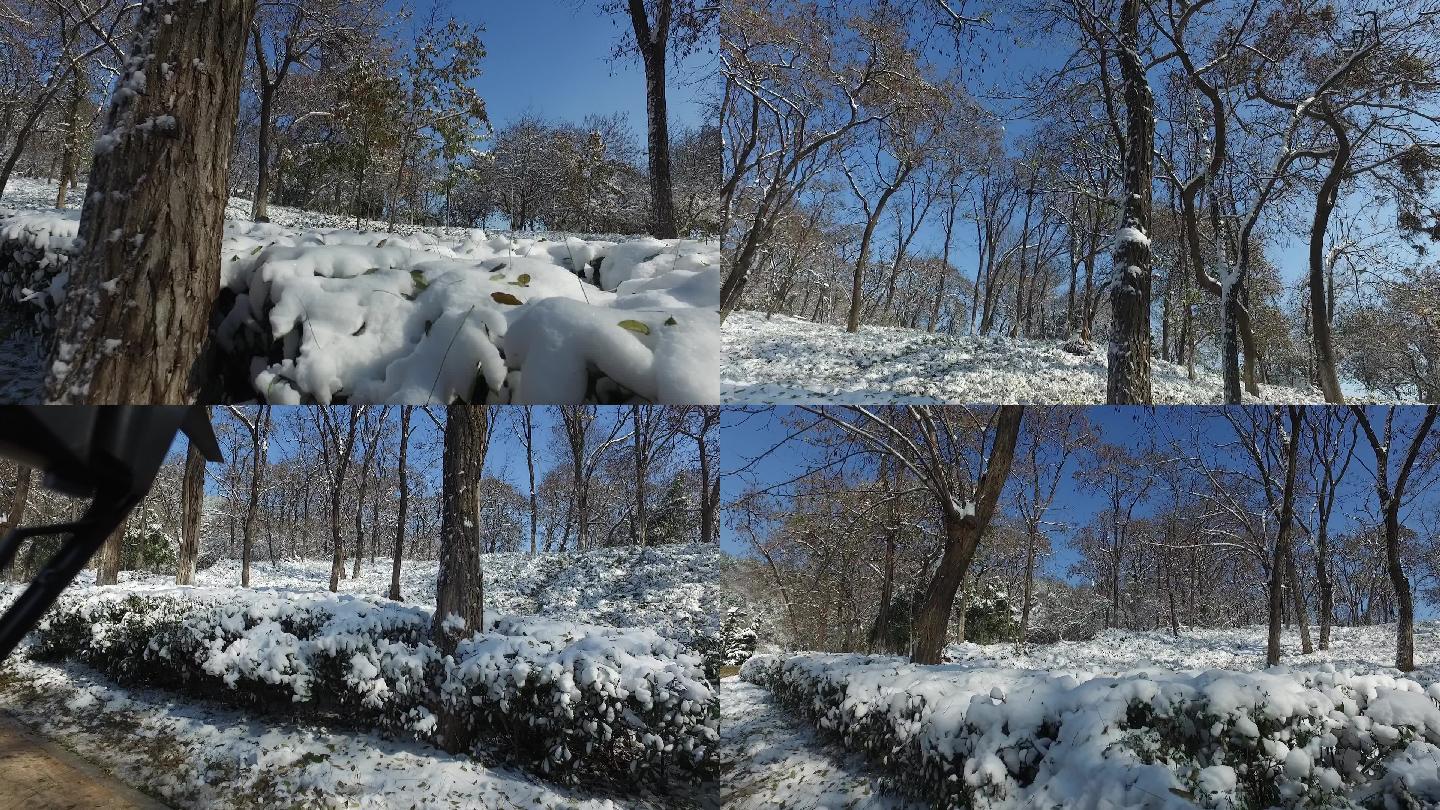 雪景