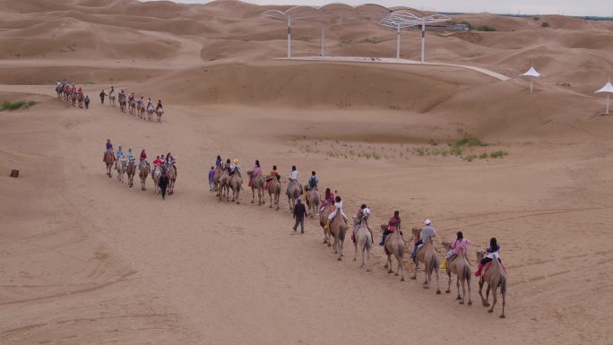 内蒙古沙漠骆驼沙漠摩托