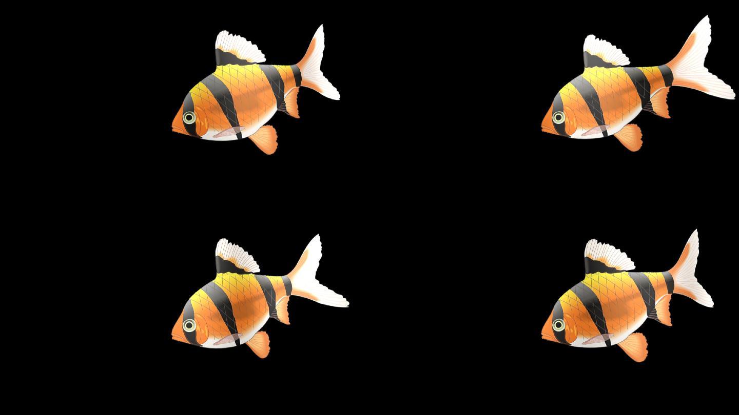3D锦鲤动态壁纸完整版-可设置鱼缸背景及鱼的类型 - 三星 GALAXY Tab7.7/7.0 Plus 安卓平板论坛 机锋论坛