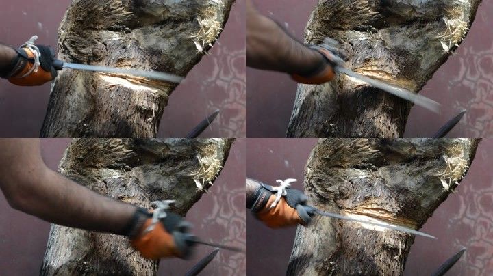 砍伐大树大砍刀砍树工作人员砍树木生态建设环保宣传片砍树木树木