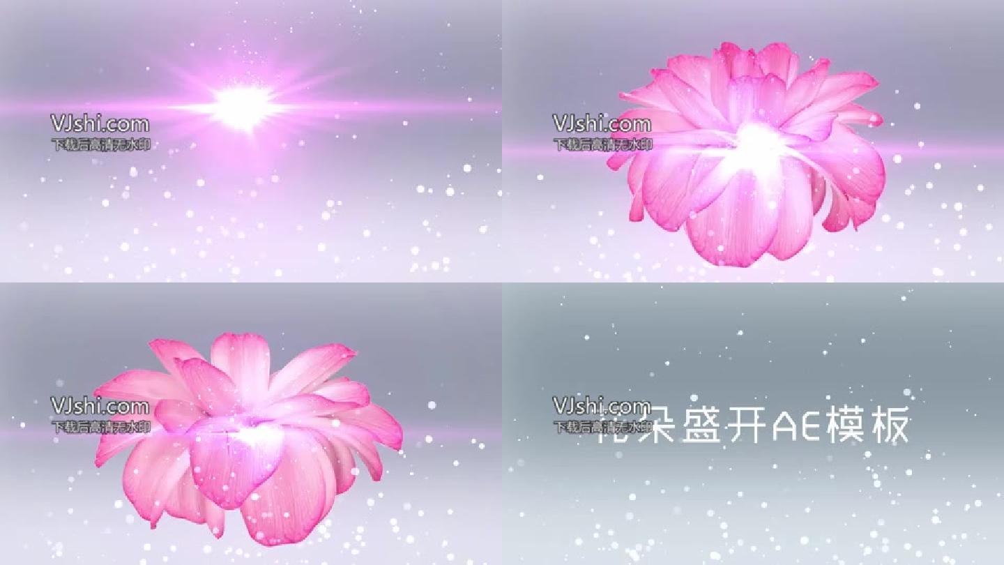 花朵盛开片头AE视频模板