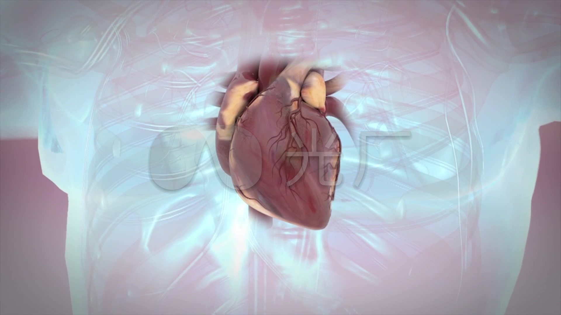 心脏搏动动画演示