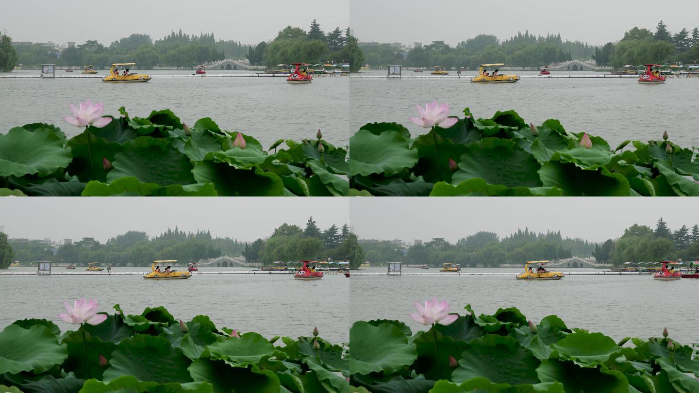 淮南龙湖公园夏季湖上泛舟4K