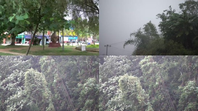 山雨欲来大风大雨风雨交加狂风暴雨疾风骤雨