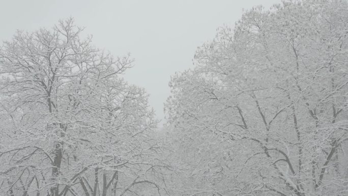 兰州五泉山雪景slogo模式