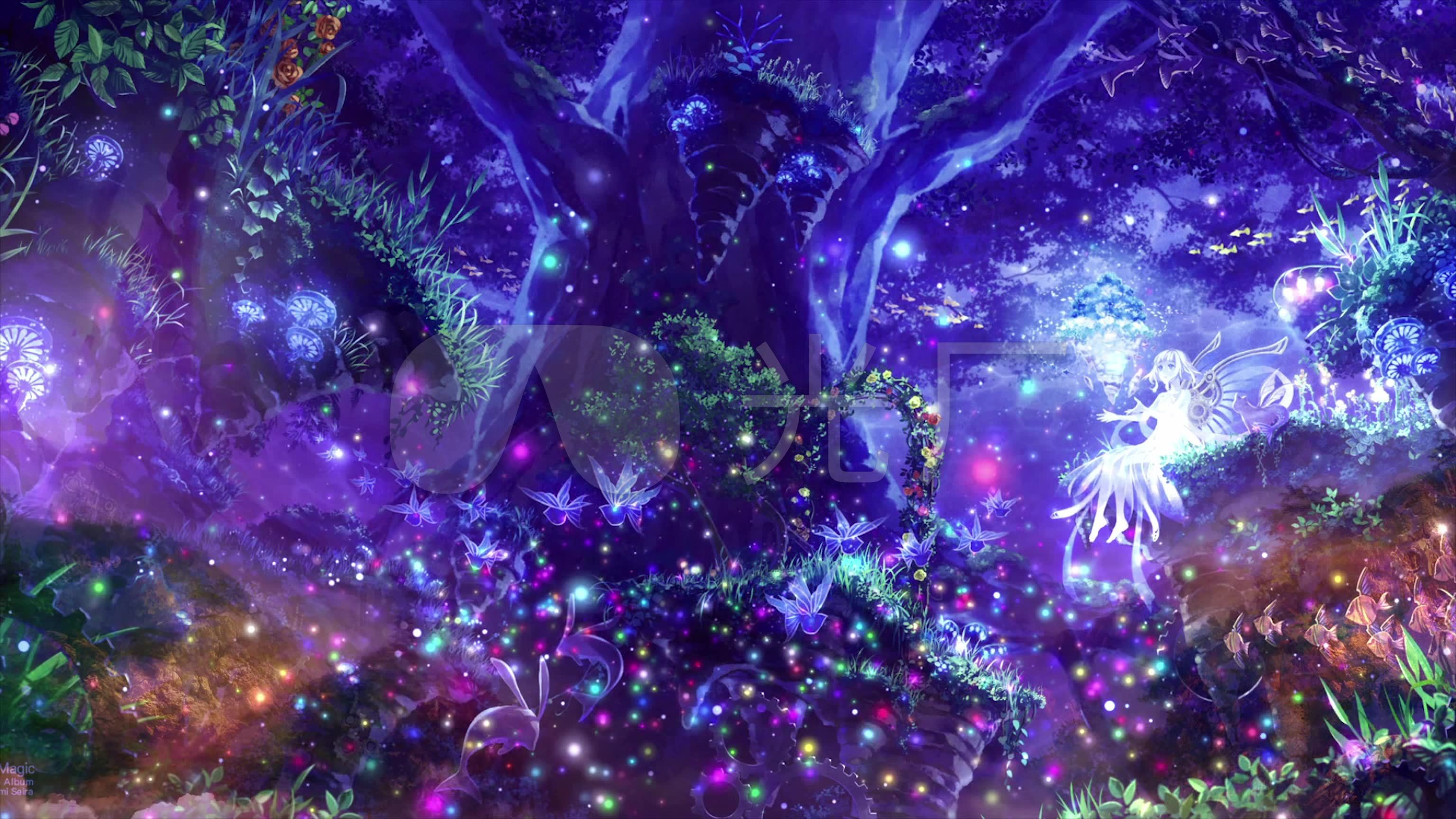 唯美粒子梦幻森林精灵仙女3k高清视频素材