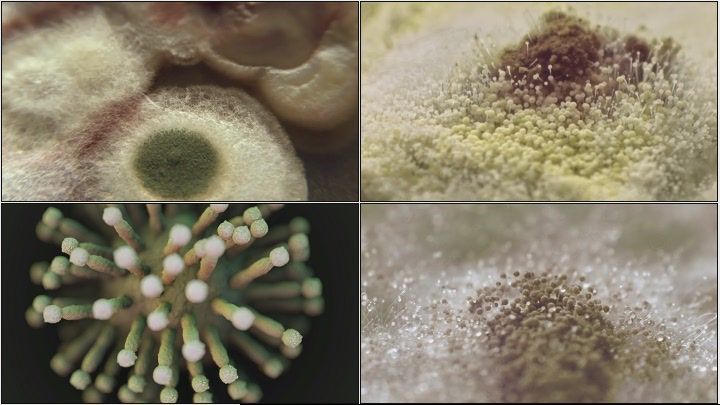 宝贝衣物衣服干净清洁细菌病毒