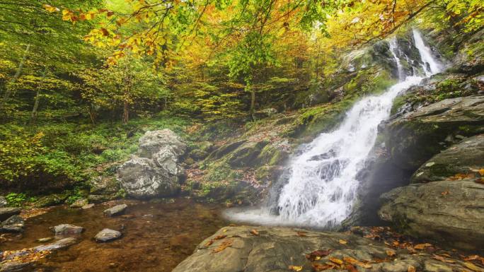 高山流水瀑布枫叶秋季风景