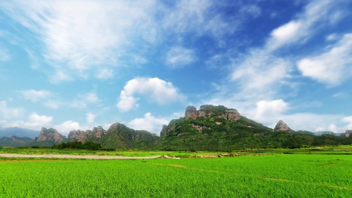 冠豸山蓝天白云麦田青青风景