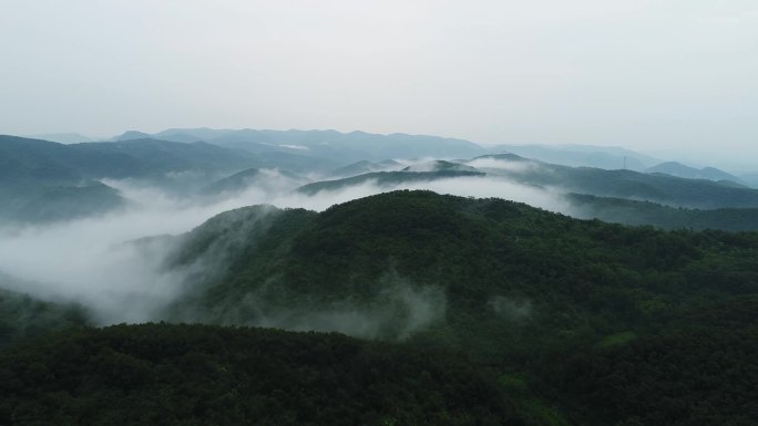 太行山雨后云海雾海航拍森林