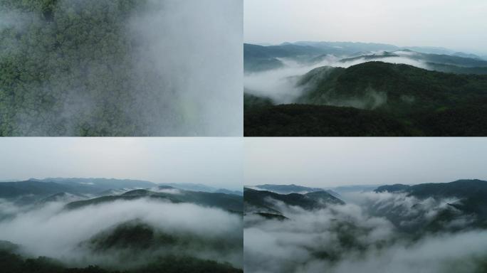 太行山雨后云海雾海航拍森林