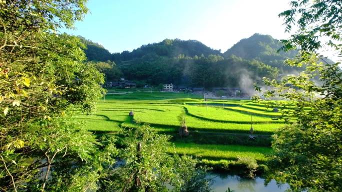 19.2秒客楼地莲唯美农村素材