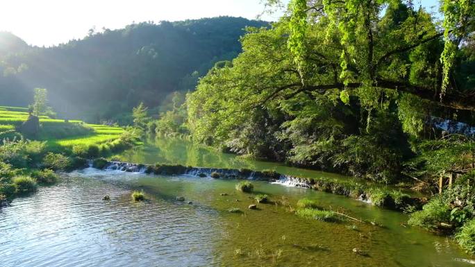 10.2秒客楼地莲河流【三农素材】