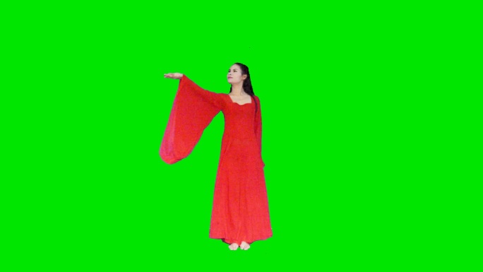 穿着红裙的女人做展示产品或文字的手势