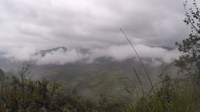 山顶逐格