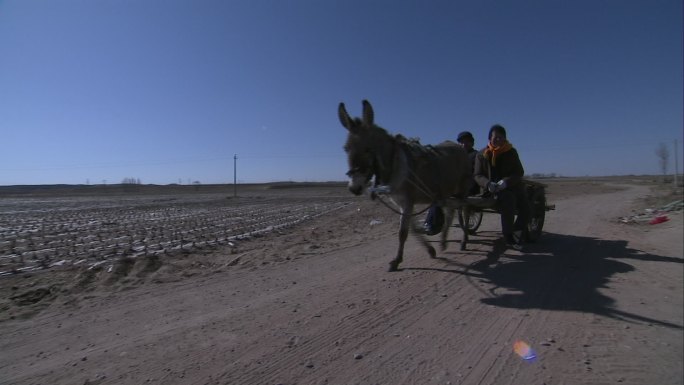 高清实拍西部地区干旱缺水艰苦生活