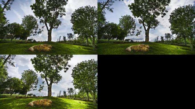 树延时HDR效果延时（1080p）