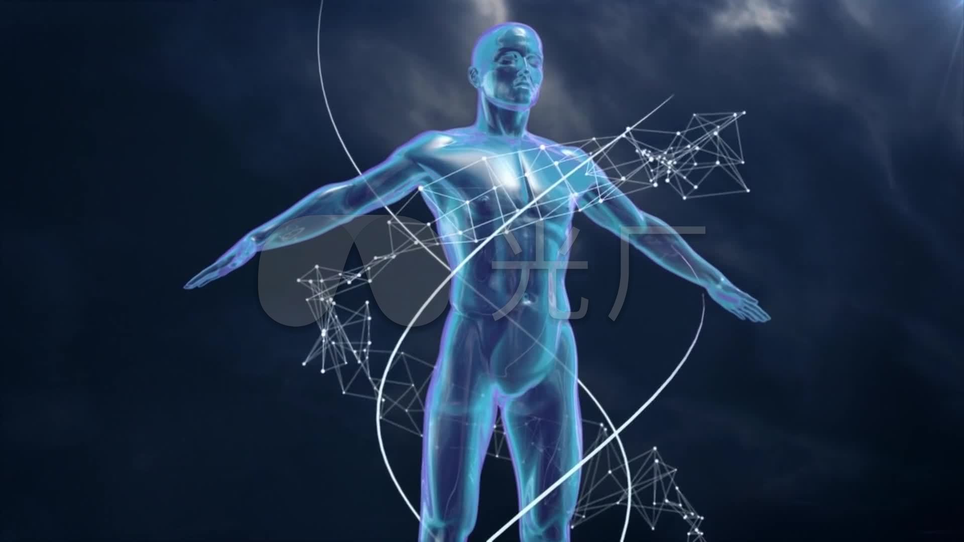人体三维模型动画_3d科技感医学医疗视频_19