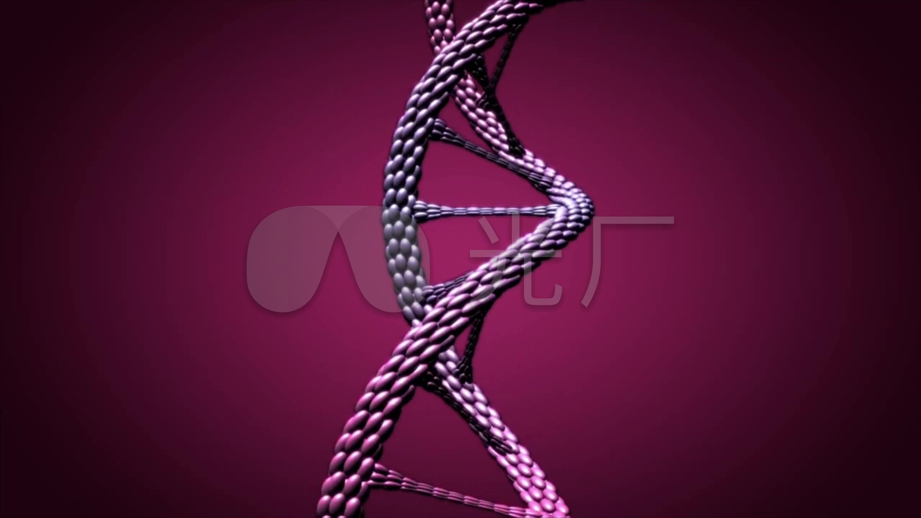螺旋线dna动画
