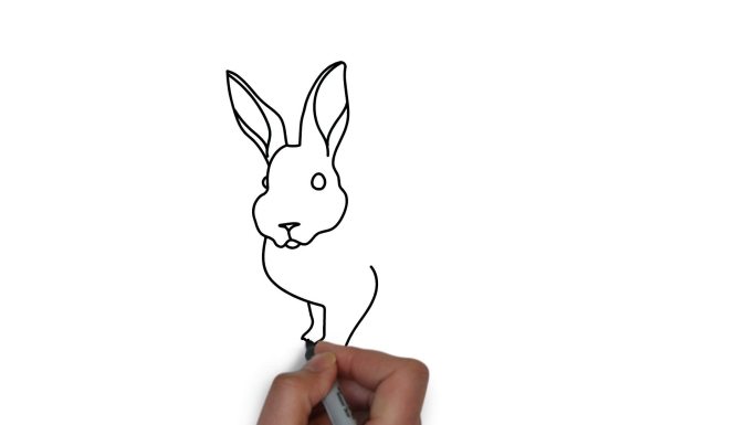 手绘卡通兔子素材3