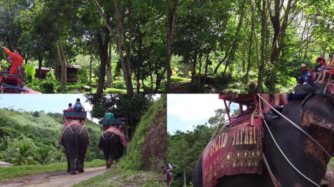 游客骑大象泰国大象园林公园4K素材