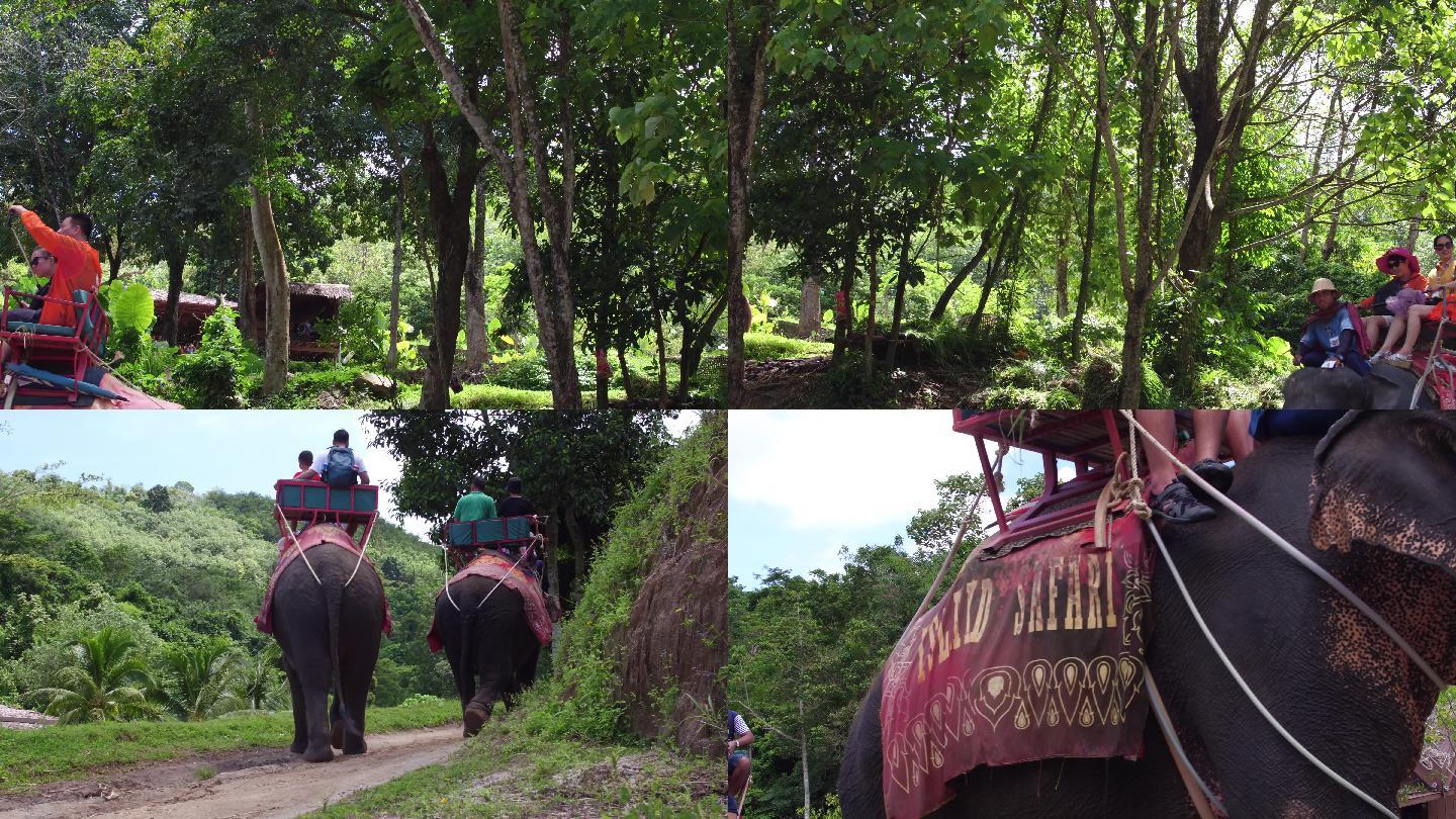 游客骑大象泰国大象园林公园4K素材
