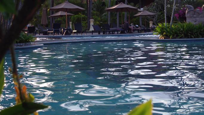 热带椰子树阳光透过树叶游泳池逆光国际酒店