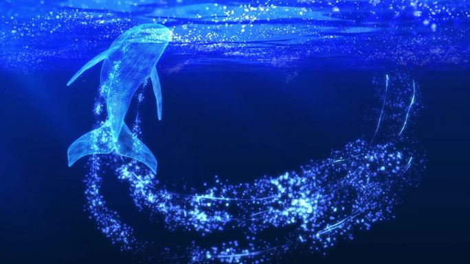 虚空海洋粒子鲸鱼