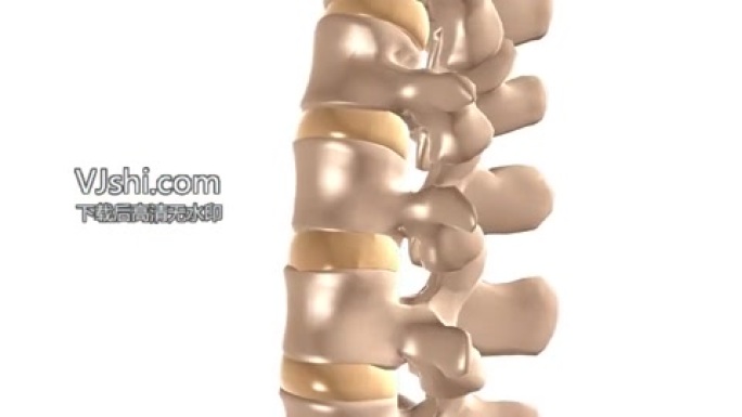 病因腰椎间盘改变病变