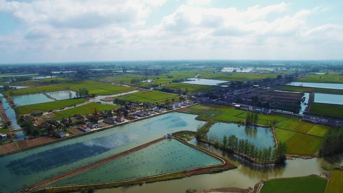 大闸蟹生态养殖区4K航拍