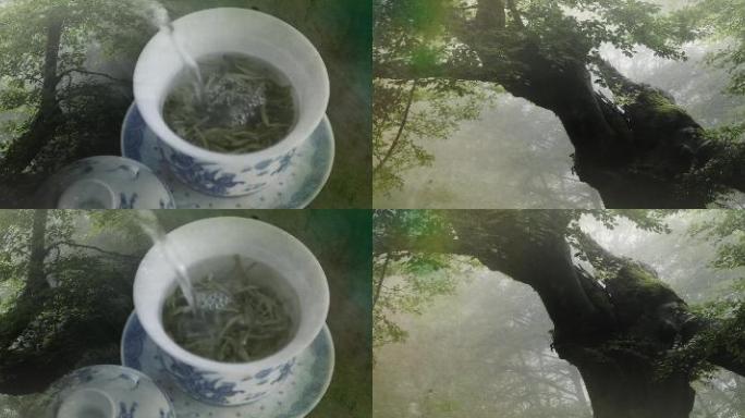 榕树下的茶意境